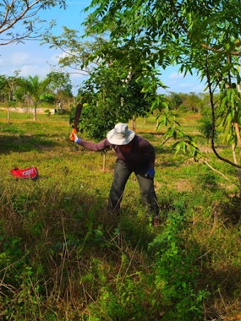 Wielding a machete at Cusa's farm in Cuba.